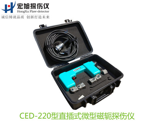 CED220型直插式微型磁轭深夜福利APP污